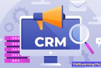 What is CRM Business?